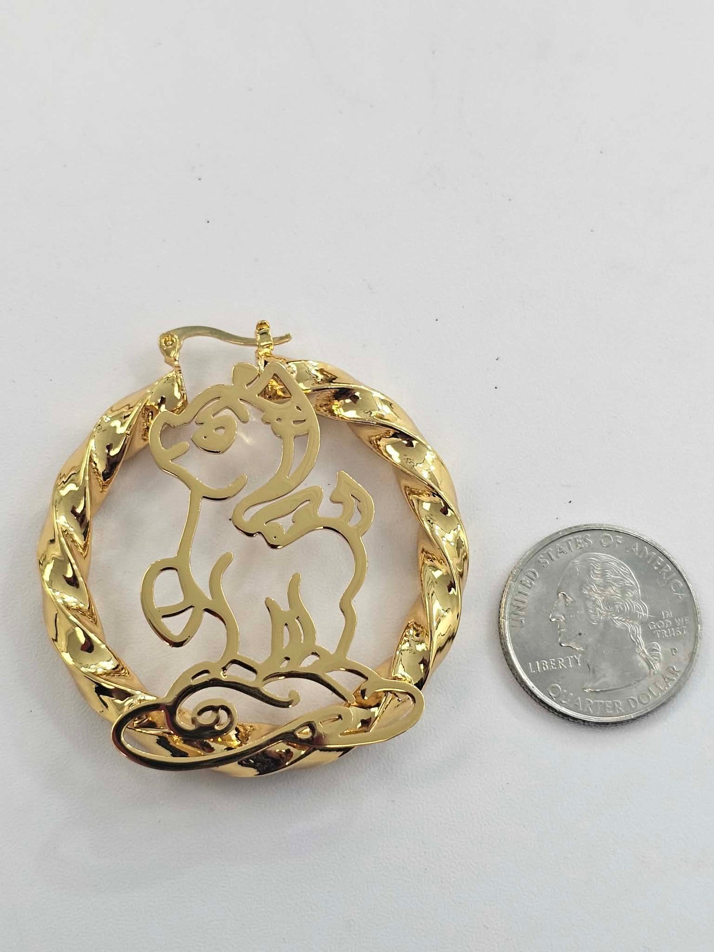 Medium Pony Hoop Earrings